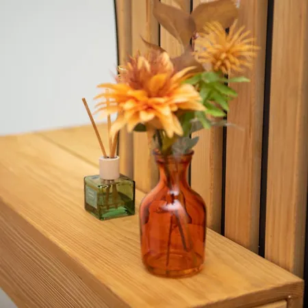 Διαμέρισμα Ana